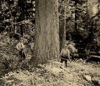 (BOOTH-KELLY LUMBER CO.) Album with 117 photographs illustrating the process, start-to-finish, of logging and lumber production by the